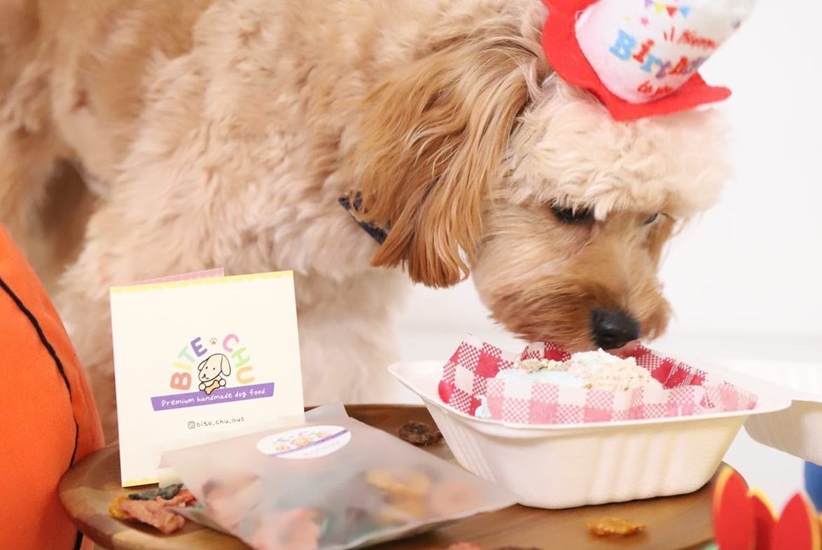 Puppy bakeries near me store