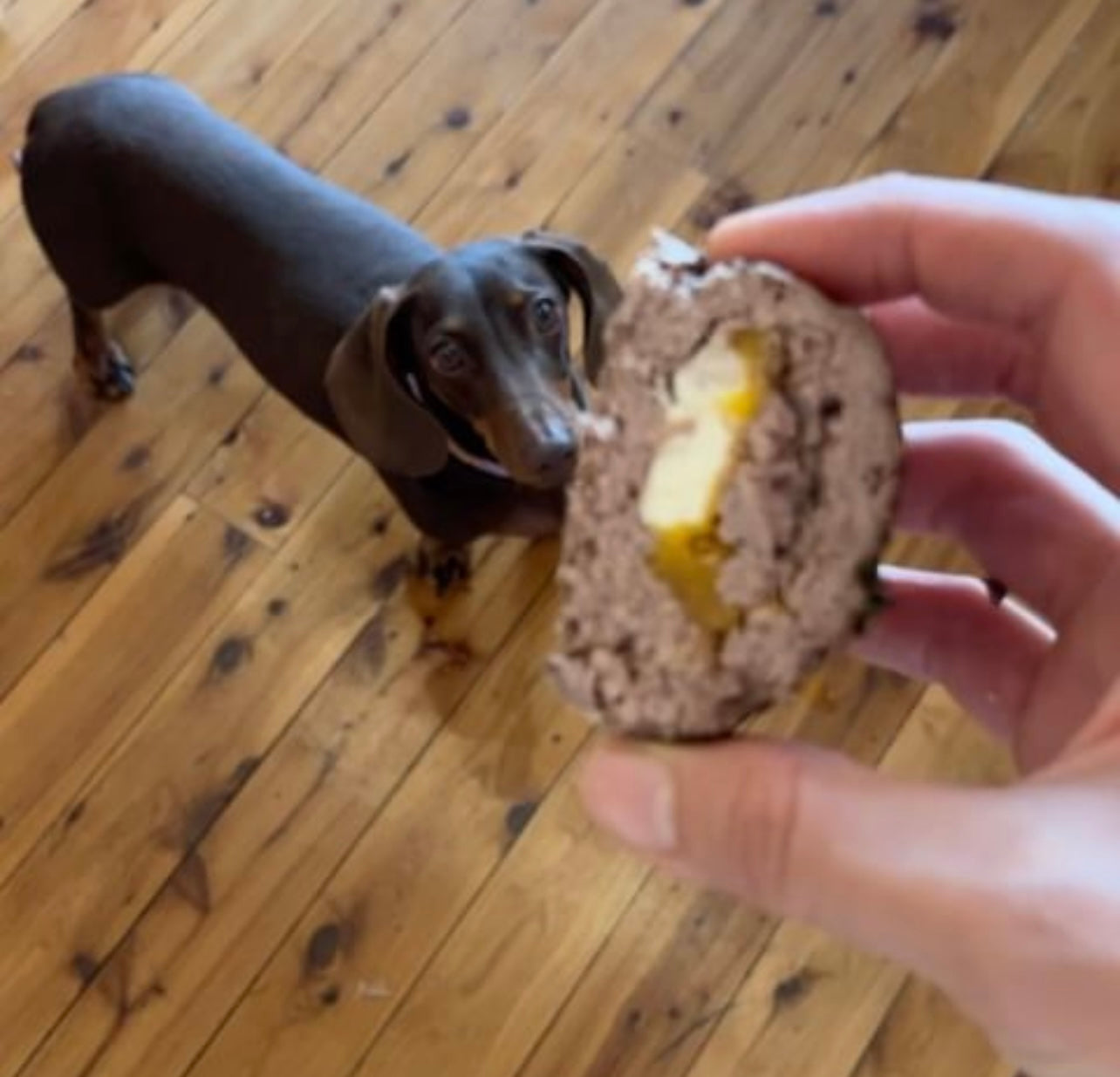 Beef Ball