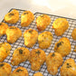 Dog Fried Chicken (DFC)