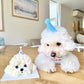 Fluffy Dog Cake
